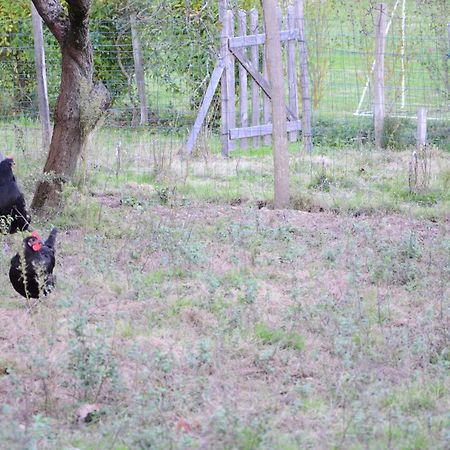 Ecogite Rural La Cle Des Champs Peyrelongue-Abos Zewnętrze zdjęcie