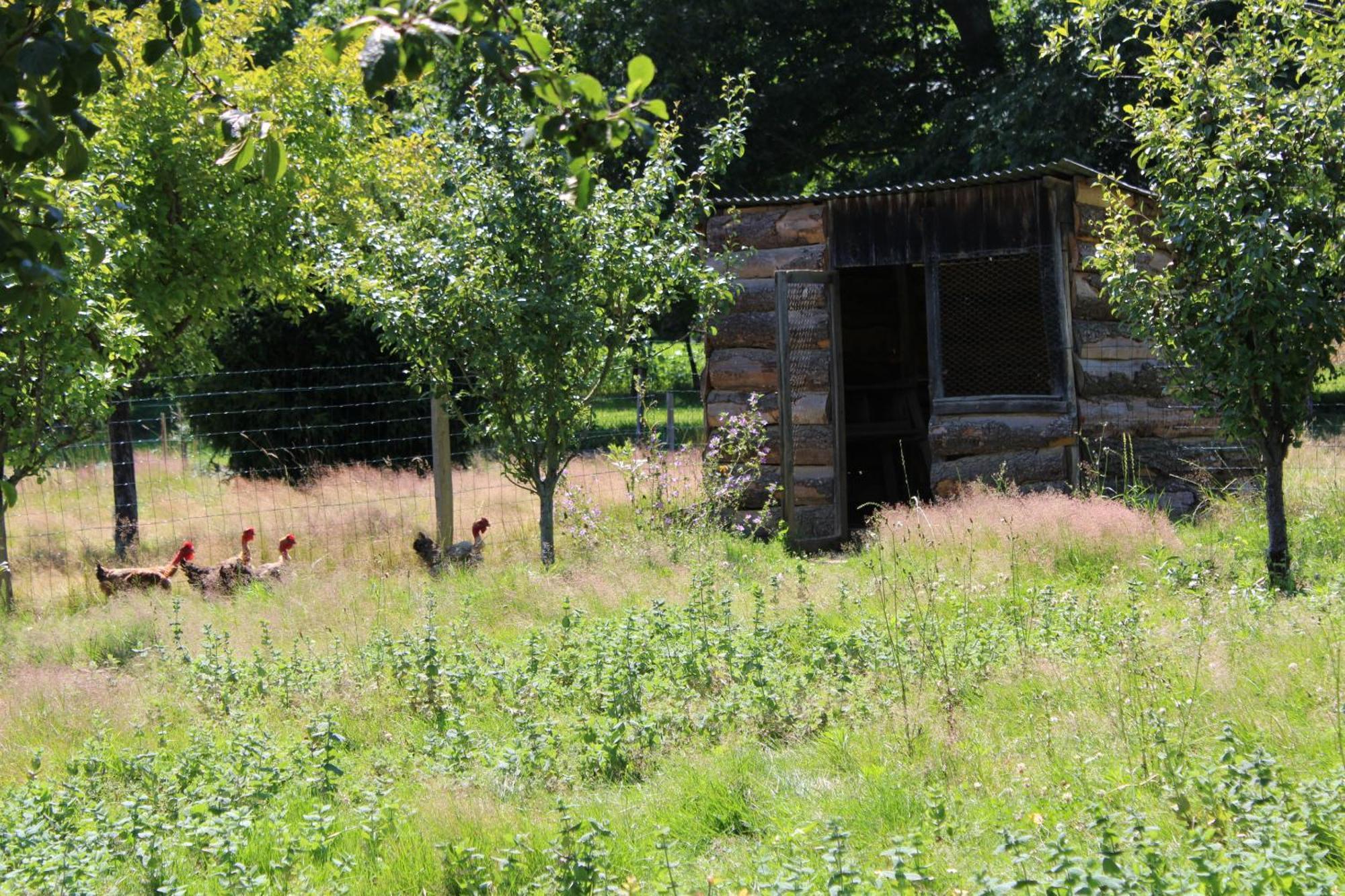 Ecogite Rural La Cle Des Champs Peyrelongue-Abos Pokój zdjęcie