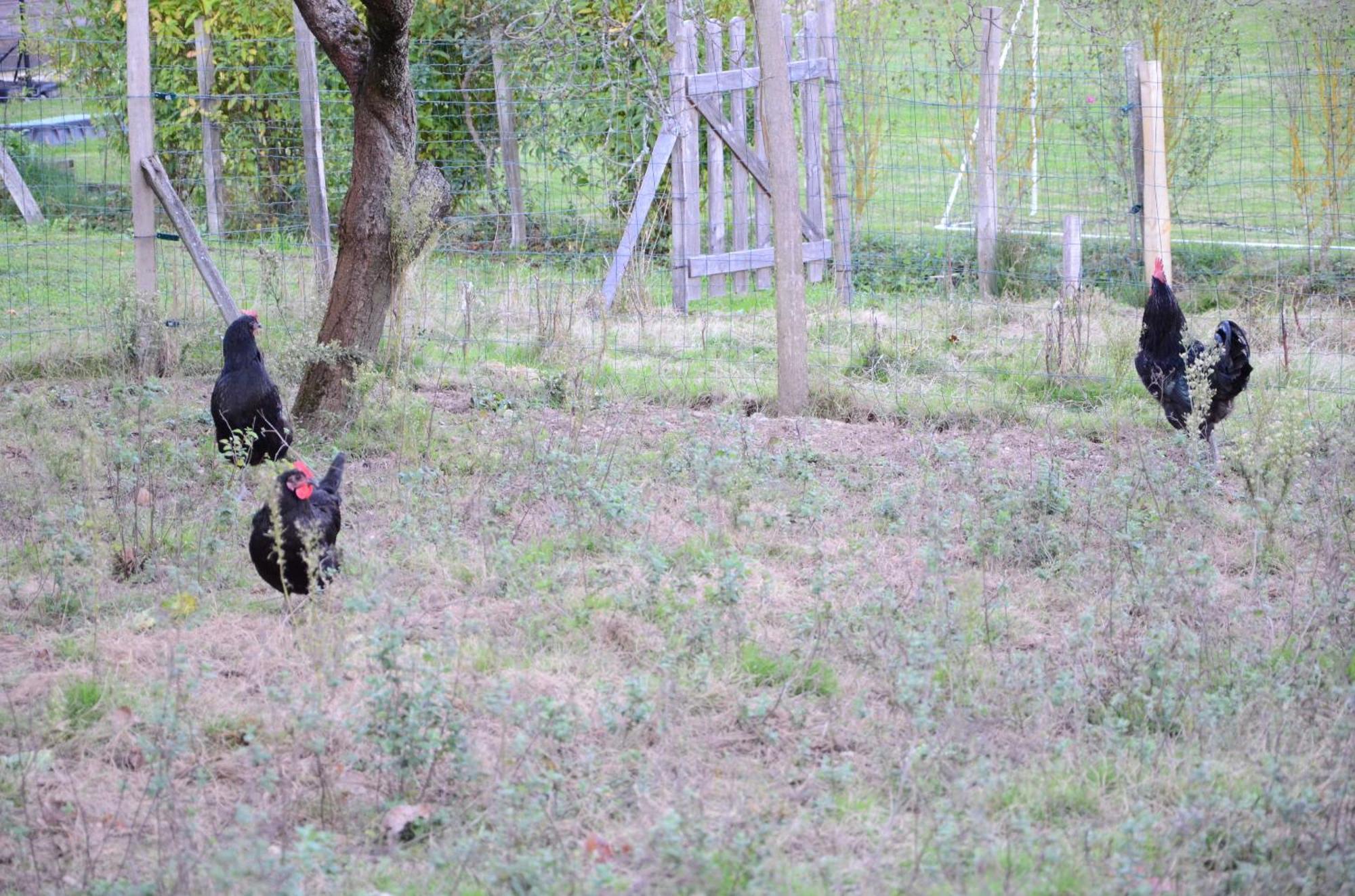 Ecogite Rural La Cle Des Champs Peyrelongue-Abos Zewnętrze zdjęcie